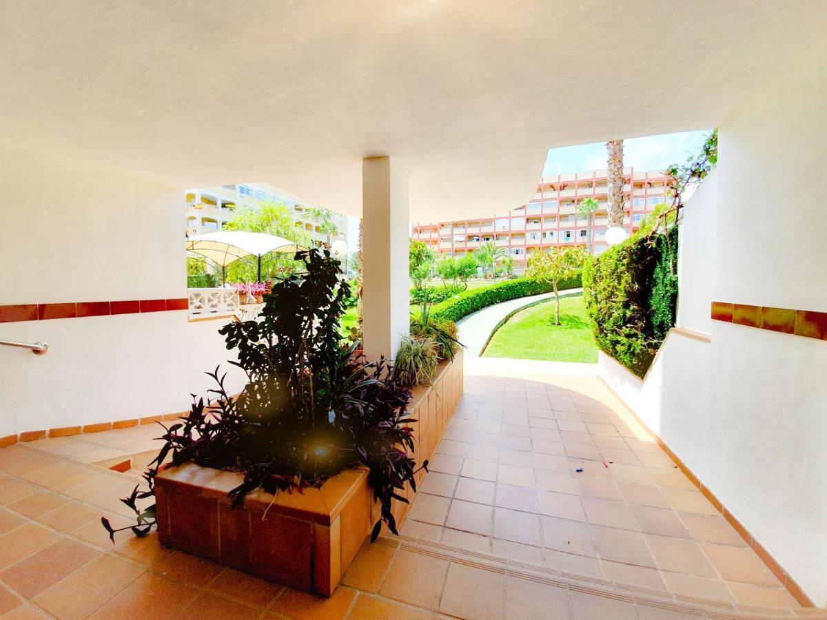 Best House Paola Torrevieja Exterior photo